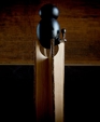 Signature-wood-base-aquaovo_1_medium_cropped