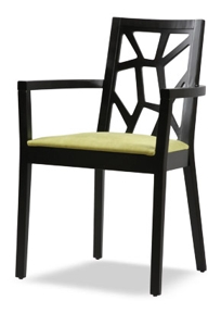 D Modern Wood Dining Arm Chair