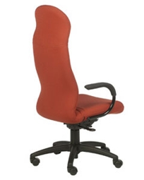 Desire Mono Exec Back