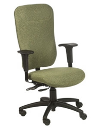 Sensaflex Director Back