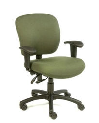 Sensaflex Low Back