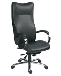 Lynx Exec Back