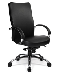 Ovation Director Back