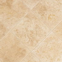 S021 Ivory