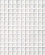 Wc010f_medium_cropped