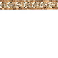 S005/.10212BOL 2" x 12" Olive Border