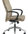 Chair1_medium_cropped