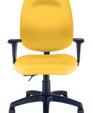 Tr2_executive_medium_cropped