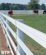 Centaur-white-2_medium_cropped