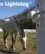 White-lightning-new_medium_cropped