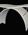 Wing1_medium_cropped