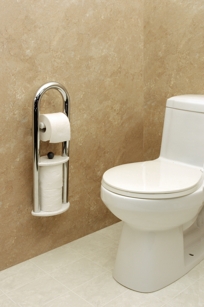 Invisia Collection - Wall Toilet Roll Holder with Integrated Support Rail