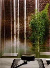 BAMBOO