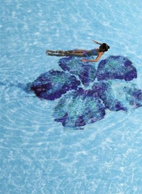 IBISCUS