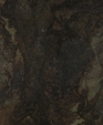 1370_lg_medium_cropped