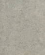 1028_lg_medium_cropped