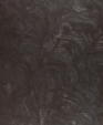 1544_lg_medium_cropped