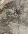 785_lg_medium_cropped