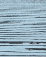 1486_lg_medium_cropped