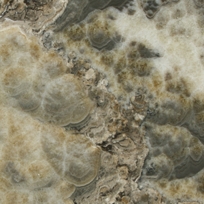 Black Cloud Onyx (Polished 


NOTE: This is a naturally-fissured material and 
 slabs will have factory repairs. Fabricators may 
 have to reinforce or repair the stone as they are 
 working it.)