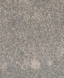 542_lg_medium_cropped