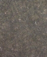 534_lg_medium_cropped