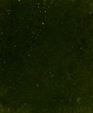 532_lg_medium_cropped