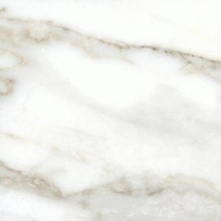 Calacatta Vision (Polished)