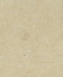 131_lg_medium_cropped