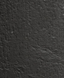 1503_lg_medium_cropped