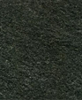 1000_lg_medium_cropped