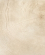Marrow_web_medium_cropped