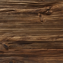 New England Hemlock Bear Wood  unfinished