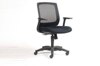 Camilla Low-Back Chair
