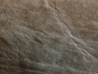 Padock Leather