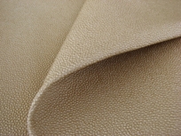 Stingray
