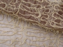 Voile de Soie