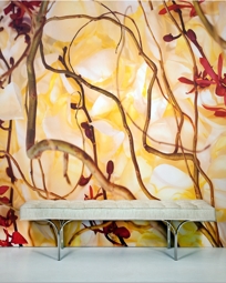 WILD ORCHID SERIES