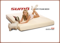 Memory Foam Queen Beds