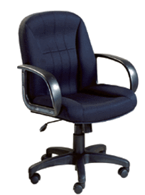 COP 6490