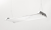 Contractor 5 Series 4 Lamp