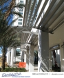 Sunshades_1_medium_cropped