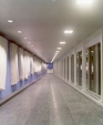 4_jpg1_medium_cropped