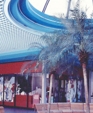 1_jpg1_medium_cropped