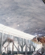 4_jpg1_medium_cropped