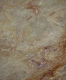 Narcado_medium_cropped