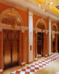 Bronze Elevator Door Skins