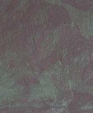 2_jpg1_medium_cropped