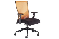 Hanna Mid-Back Chair