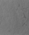 6_jpg1_medium_cropped
